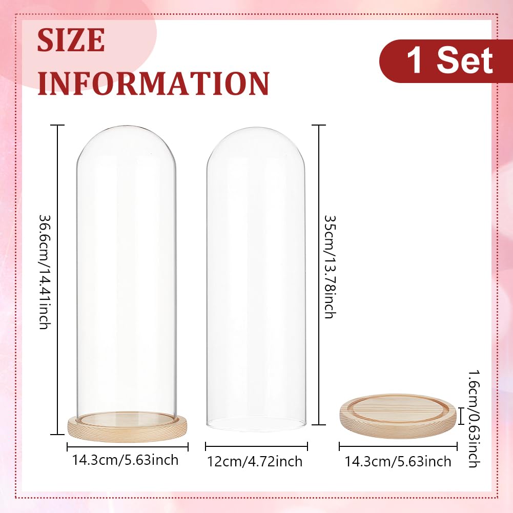 BENECREAT cloche verre arche base bois 36,6 cm