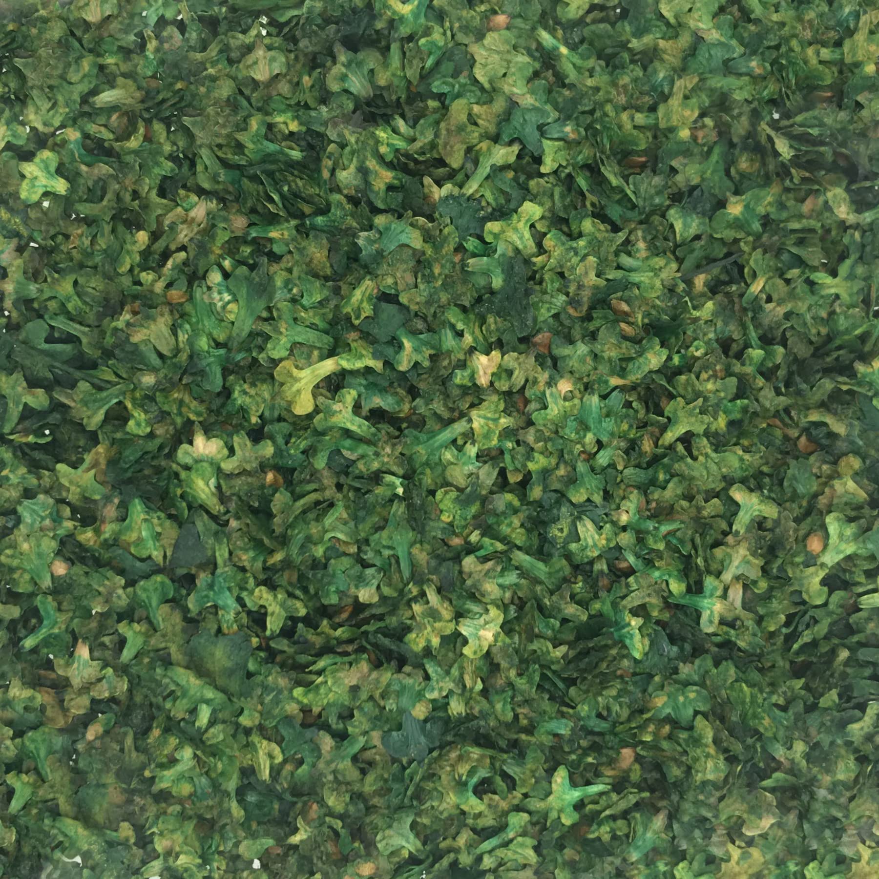 Cayway Feuilles Miniature Diorama 4 Couleurs 33ml