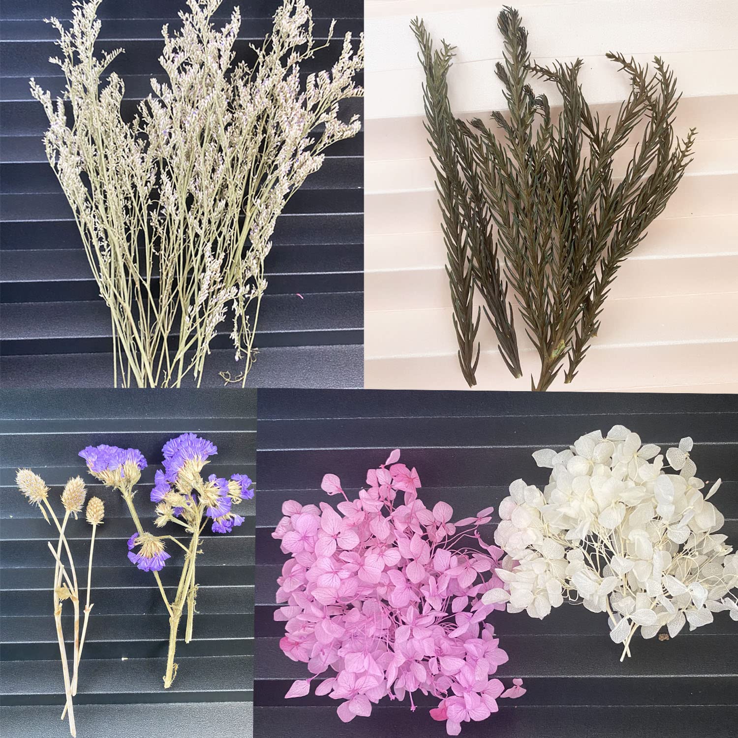 Cayway Fleurs Séchées Résine Violet Rose Blanc Naturelles