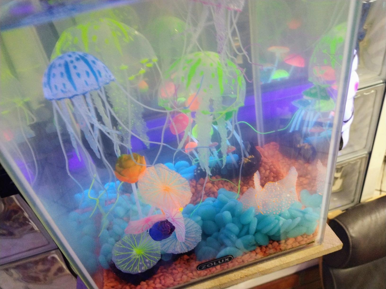 Cayway décor aquarium silicone lot 6 méduse