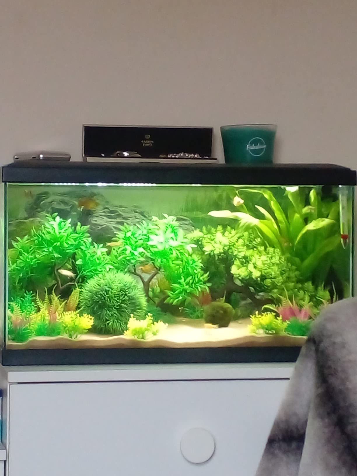 Cayway Plantes Artificielles Aquarium 27 pcs 7-18 cm