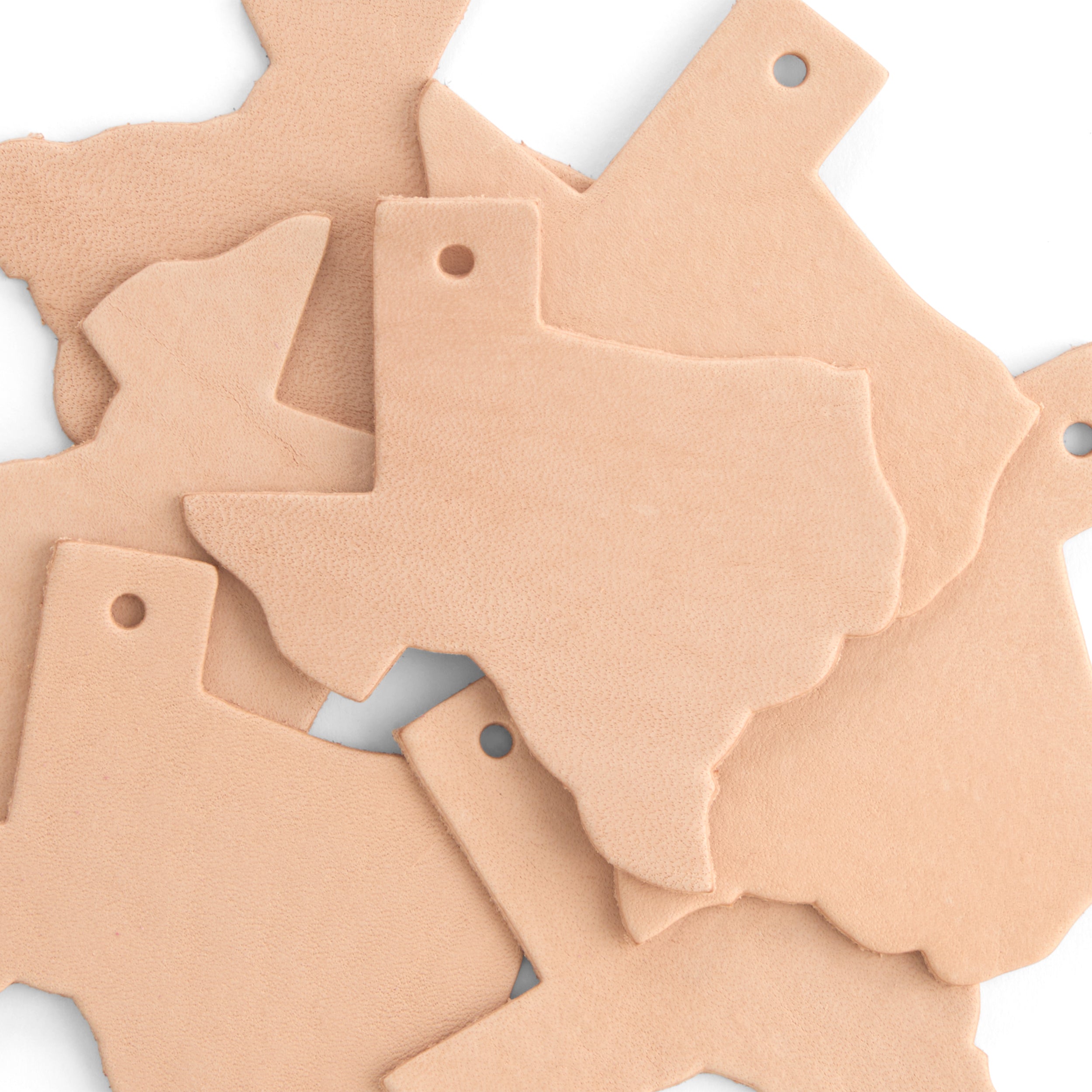 Tandy Leather Great Shapes kit Texas cuir naturel x10