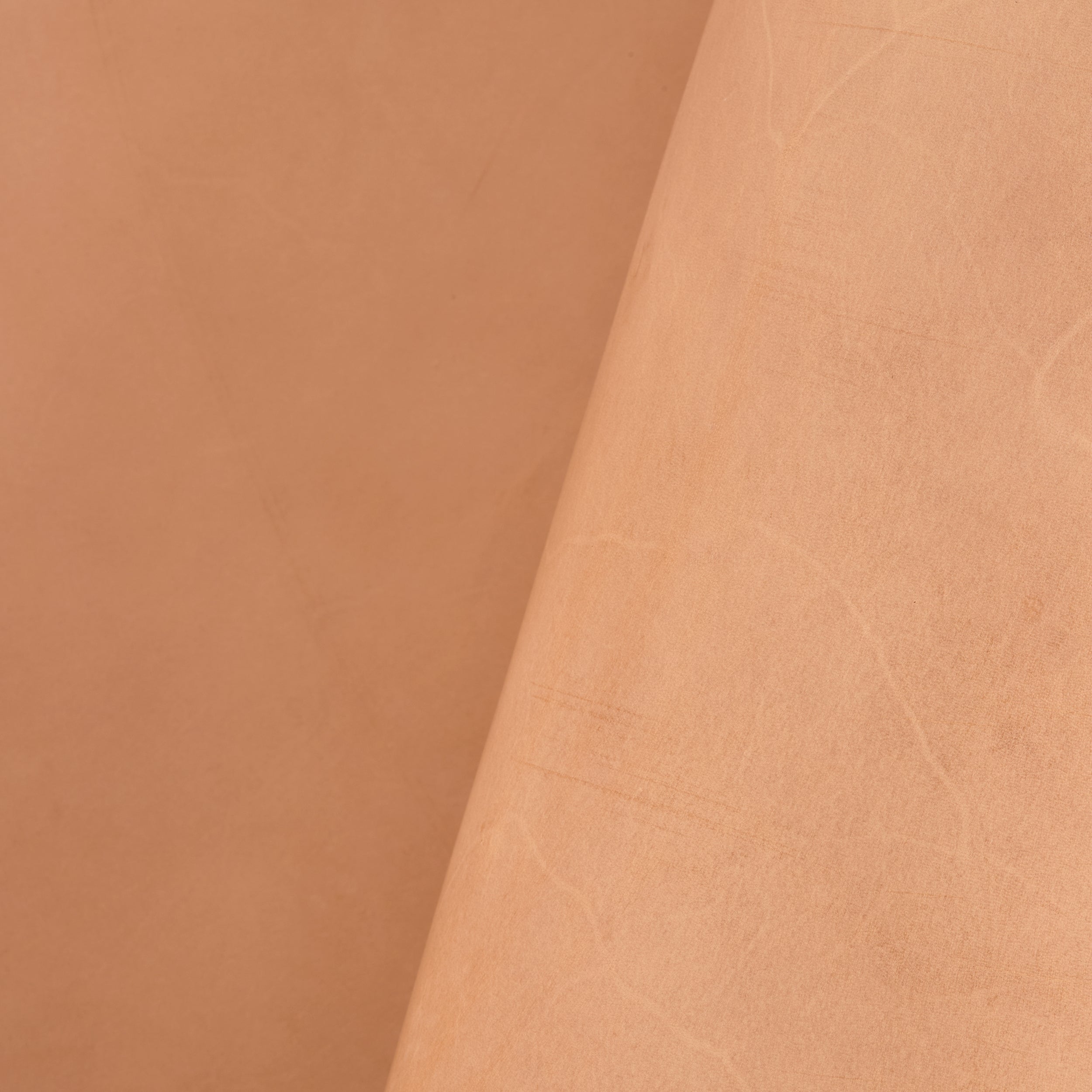 Tandy Leather Collet végétal naturel cuir sellier 4-4,8 mm