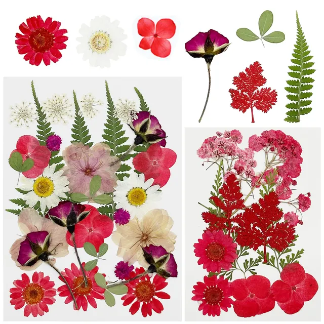 Cayway Fleurs Séchées Pressées Rouges 40 Pcs Résine