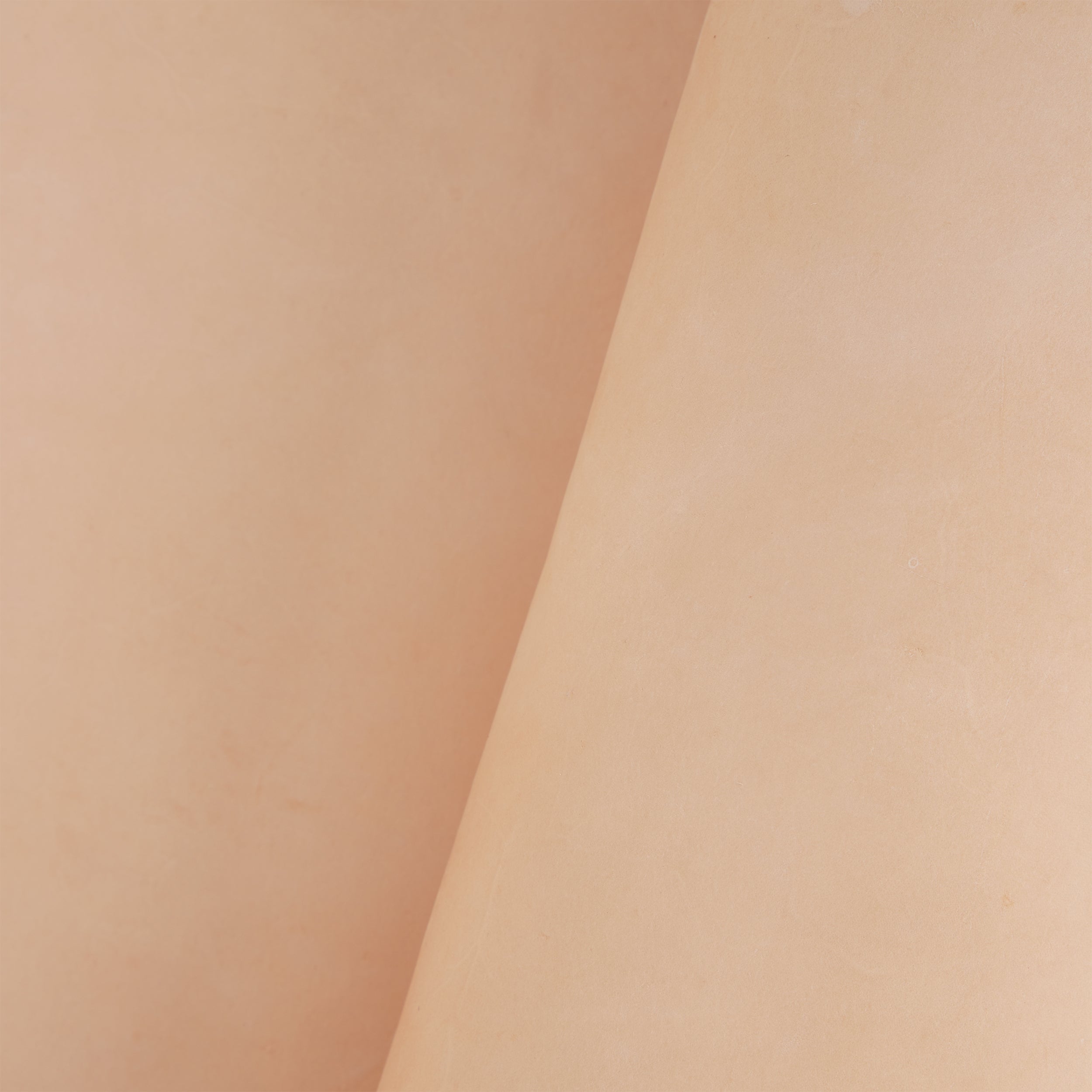 Tandy Leather double croupon cuir tannage végétal 7-8 oz naturel