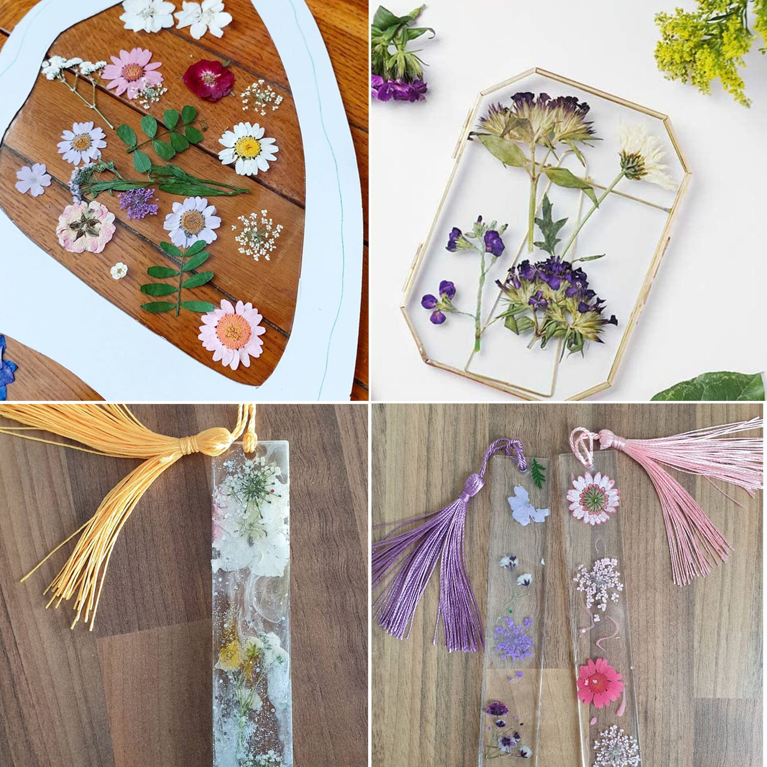 Cayway fleurs pressées séchées Style 4 lot 40 naturelles