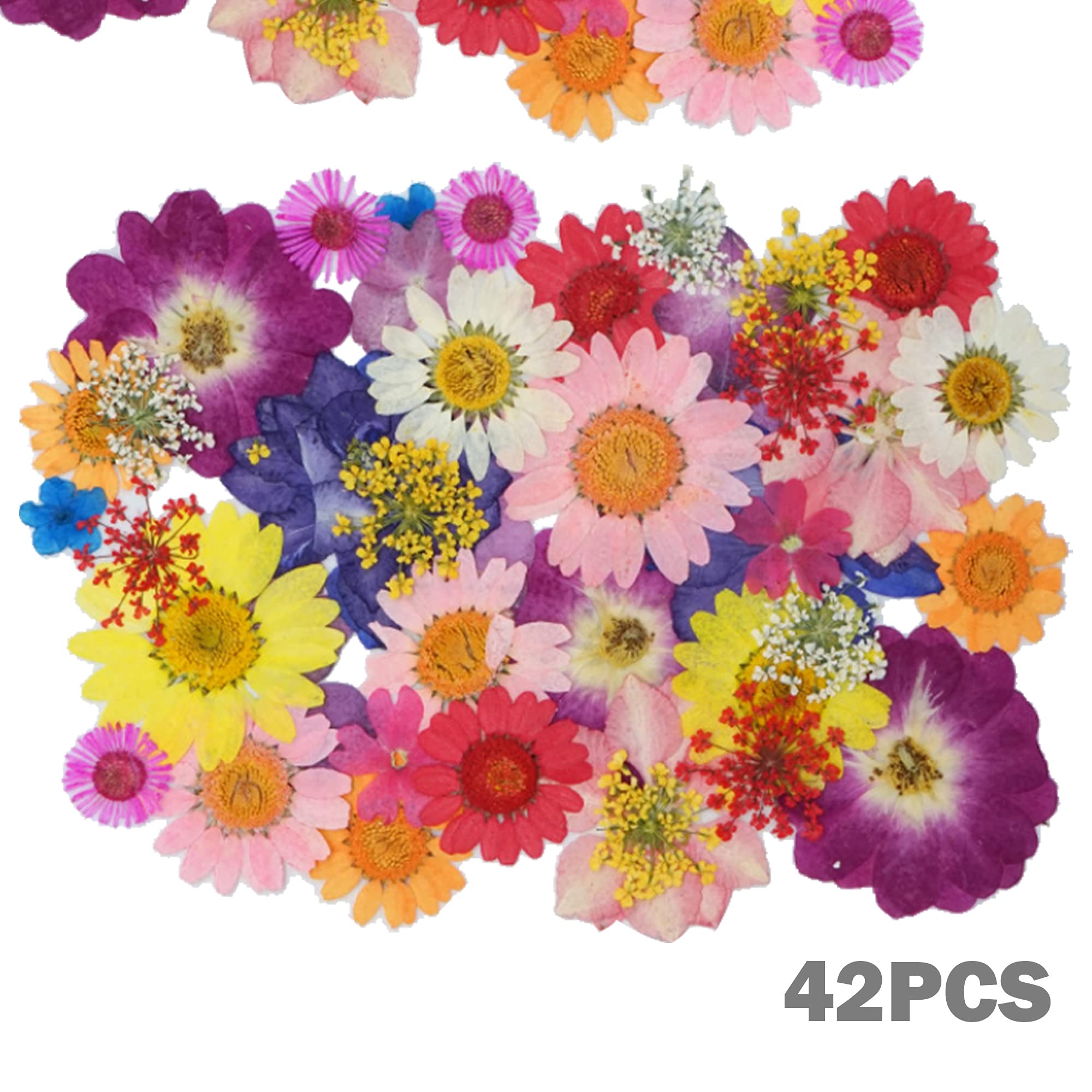 Cayway Fleurs Séchées Pressées Vert 160 Pièces Résine