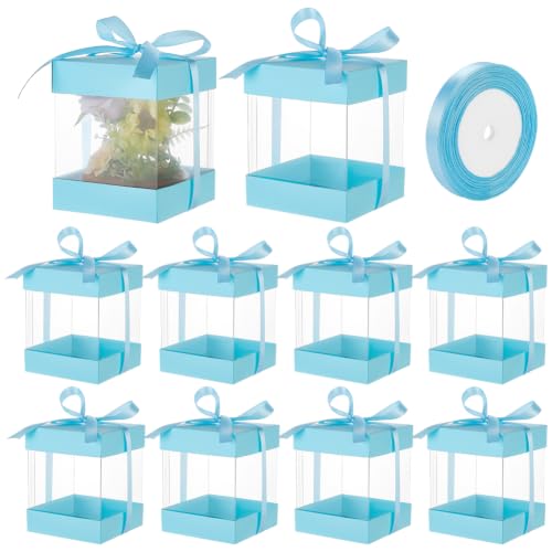 BENECREAT Boîte Cadeau Plastique Transparent Bleu Clair 10pcs 9x9x11cm