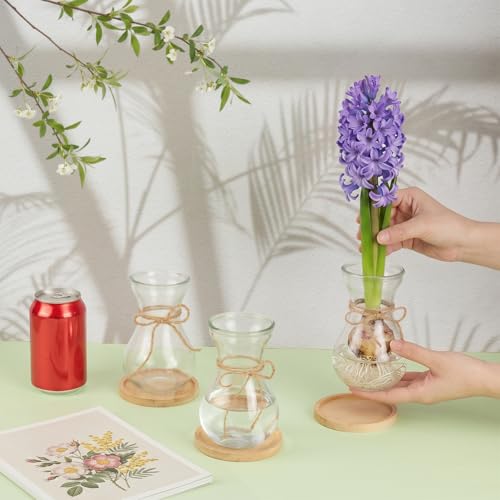 BENECREAT Vases Verre Jacinthe 85 mm Transparents x6