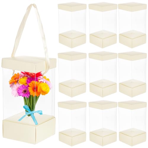 BENECREAT boîtes cadeau transparentes beiges lot 10