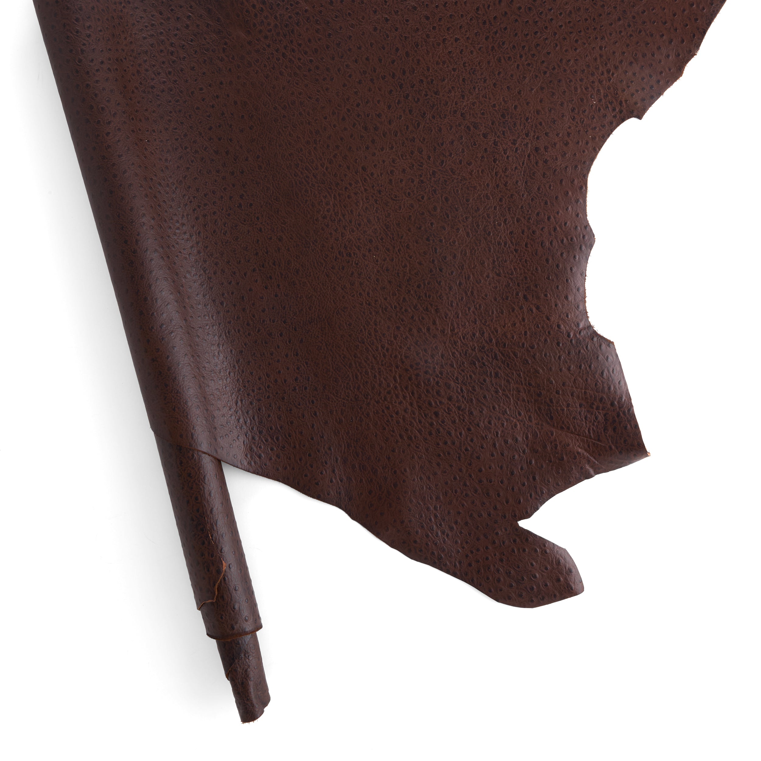 Tandy Leather côté cuir imprimé autruche marron foncé