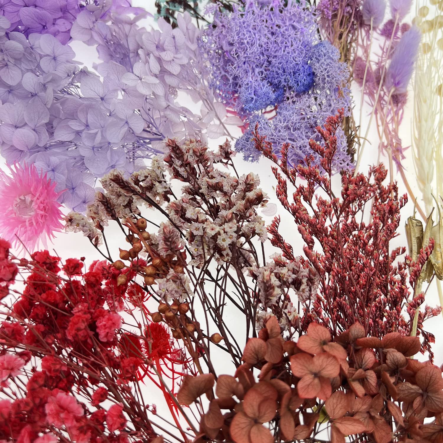 Cayway fleurs séchées résine 2 boîtes violettes