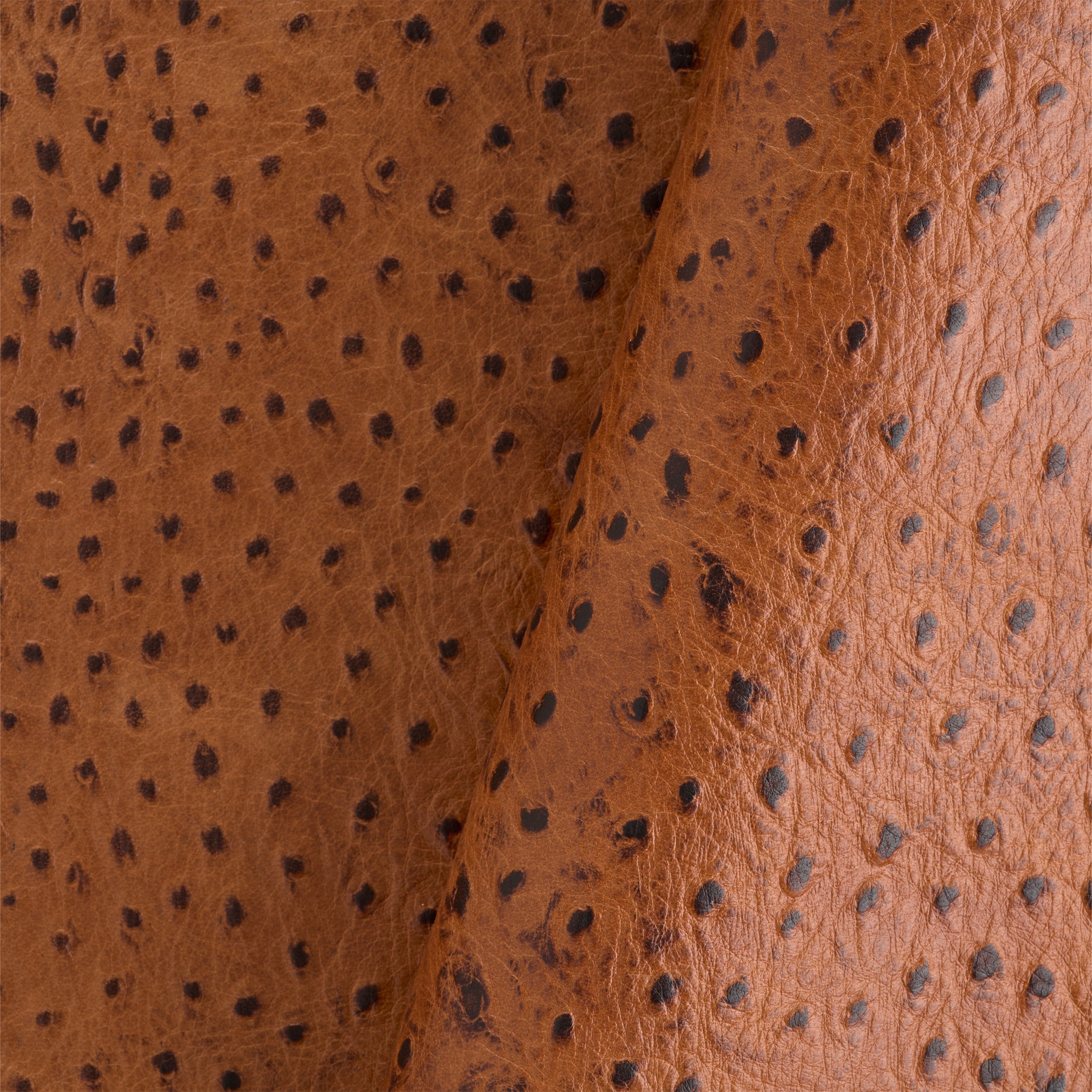 Tandy Leather côté cuir imprimé autruche marron foncé