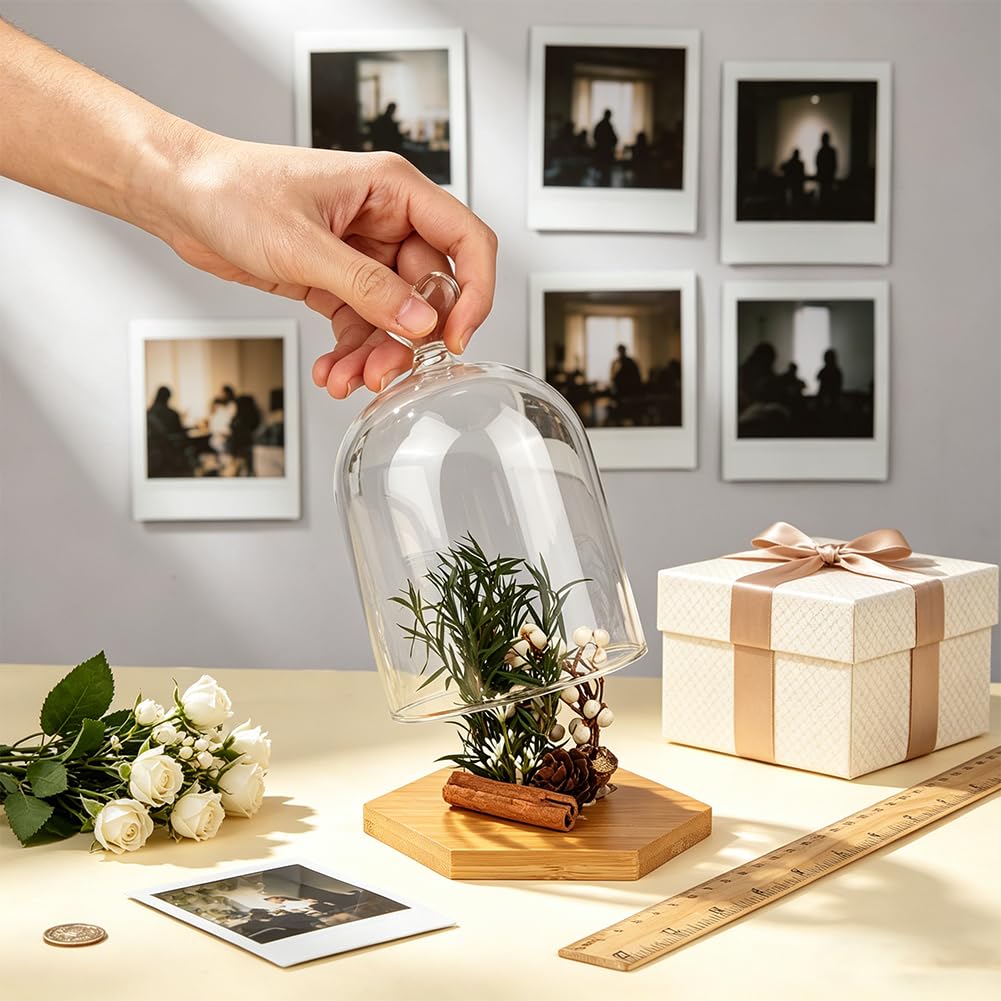 BENECREAT Cloche en Verre 91x145mm Dôme Décoratif Transparent