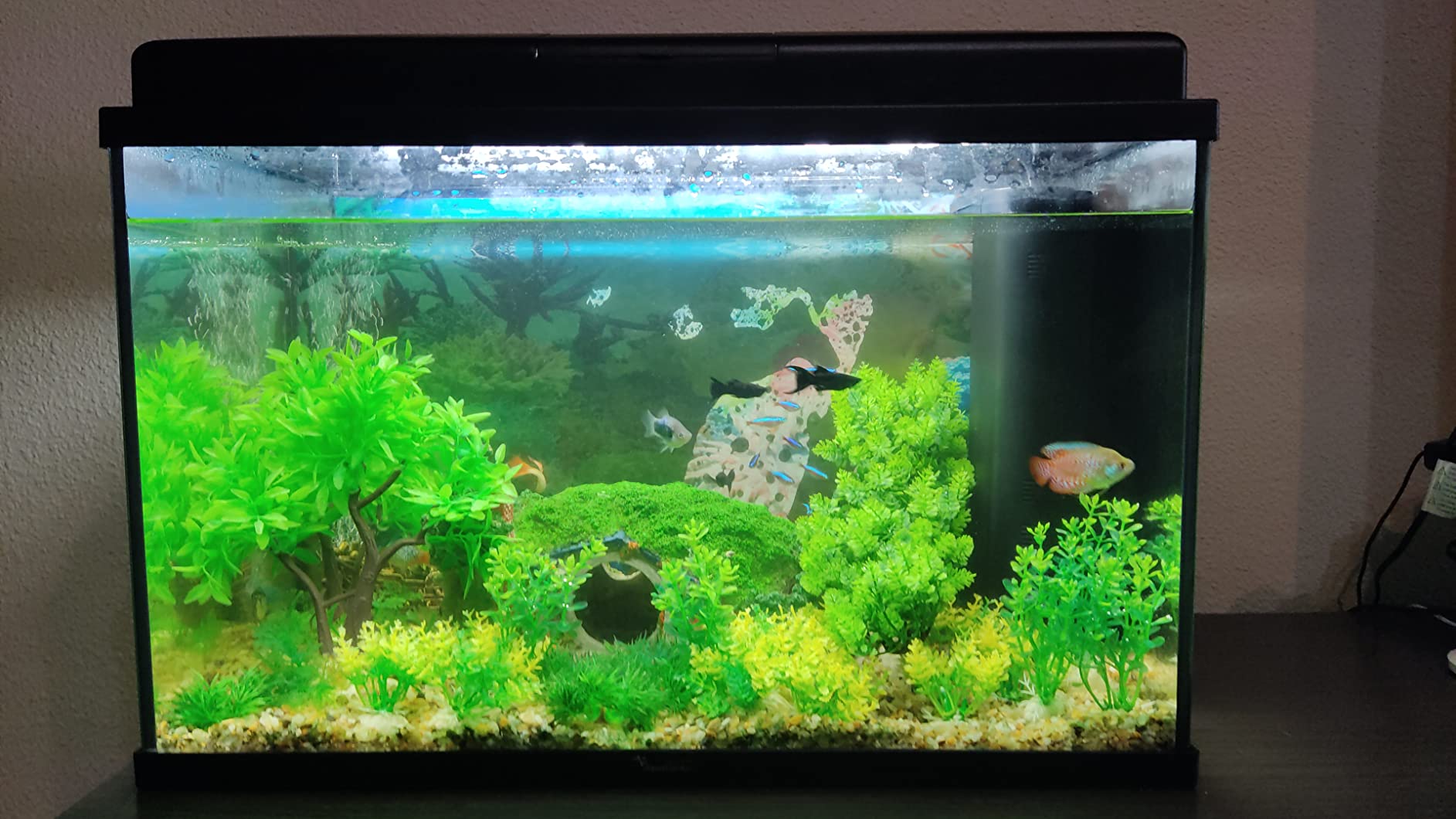 Cayway Plantes Artificielles Aquarium 27 pcs 7-18 cm