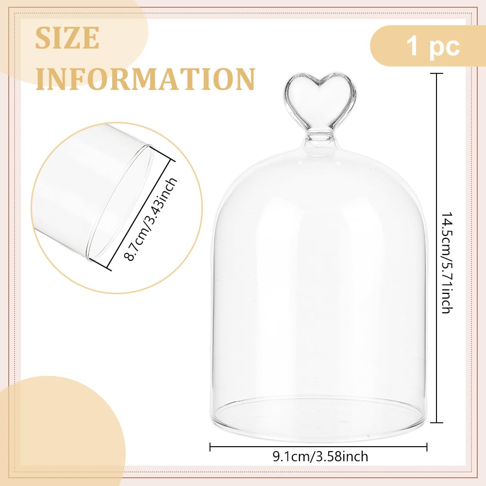 BENECREAT Cloche en Verre 91x145mm Dôme Décoratif Transparent