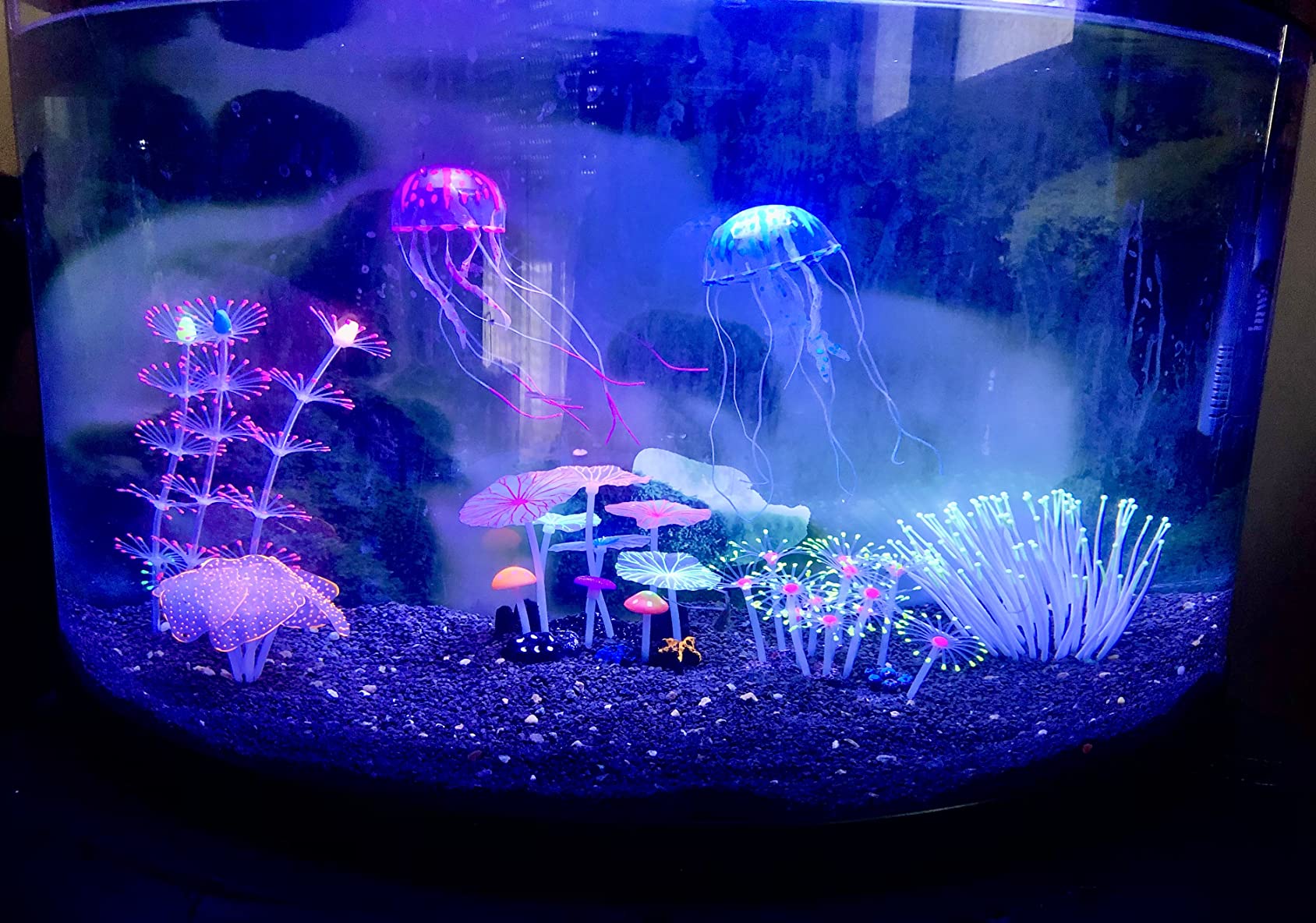 Cayway décor aquarium silicone lot 6 méduse