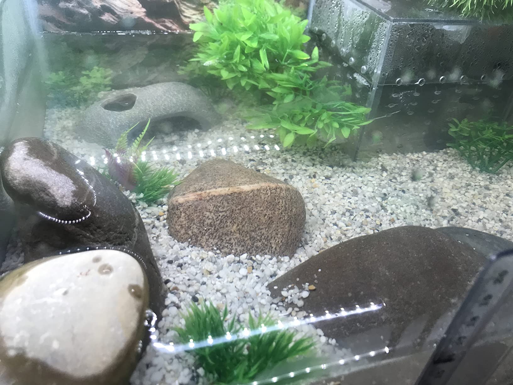 Cayway Plantes Artificielles Aquarium 27 pcs 7-18 cm