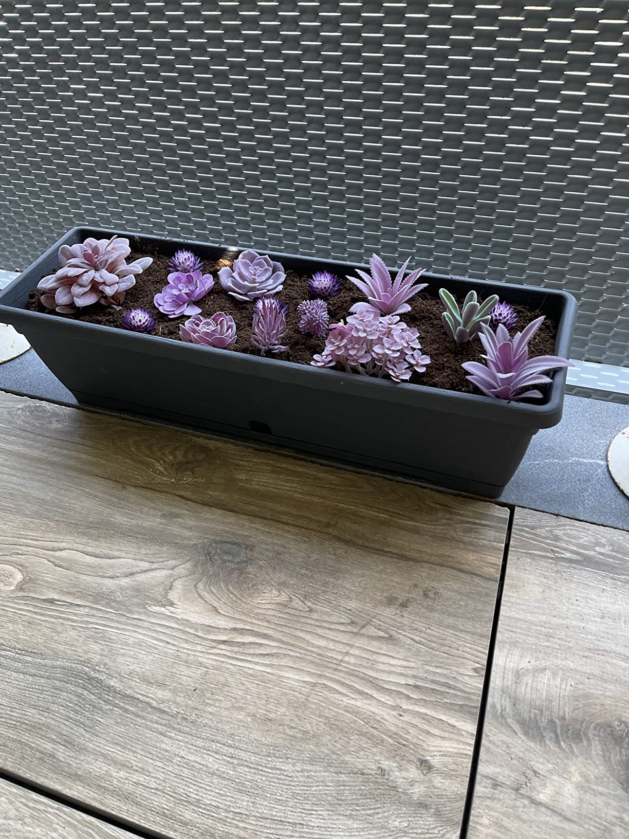 Cayway plantes succulentes artificielles Style 11 bleu 21 pcs