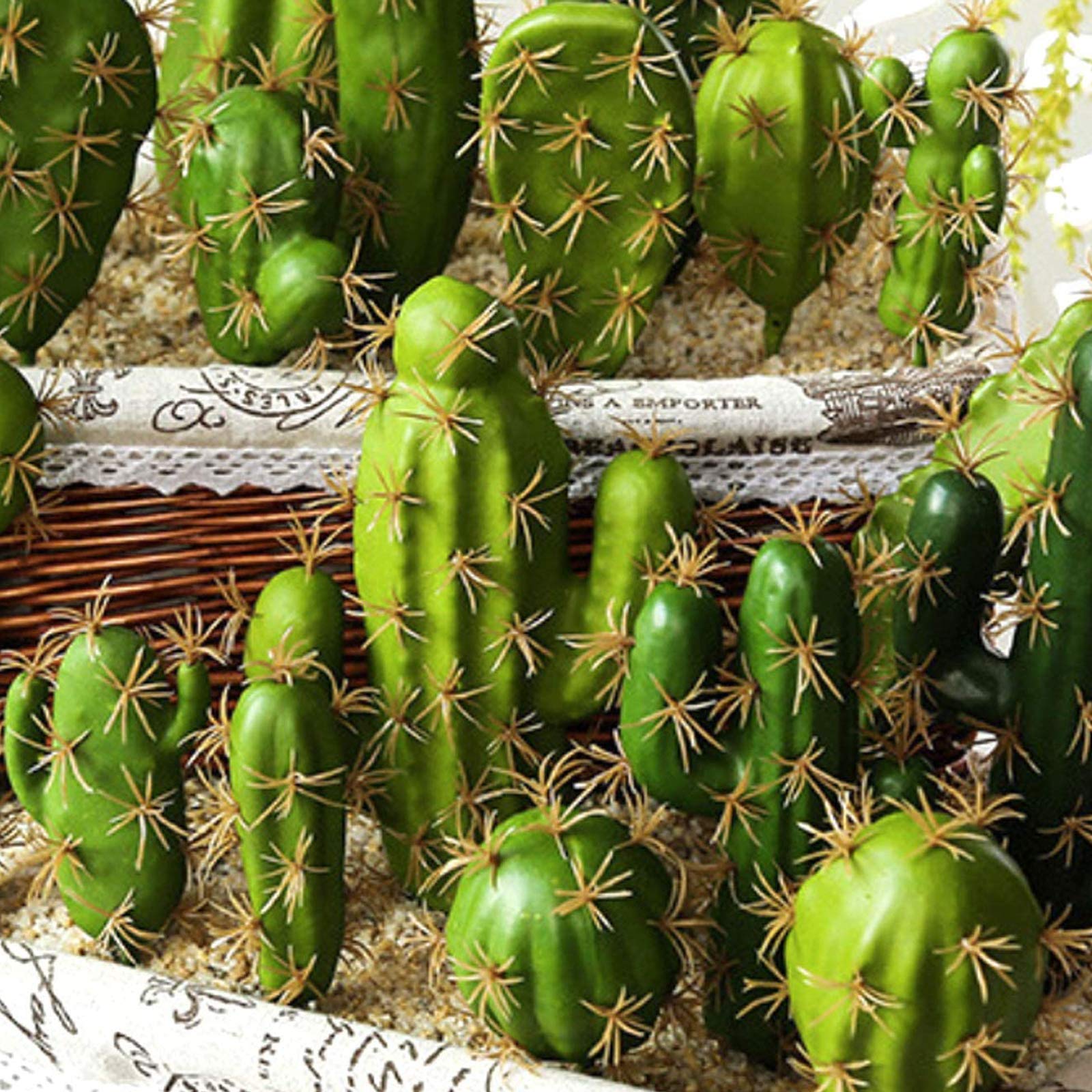 Cayway succulentes artificielles style 1 lot 10 cactus