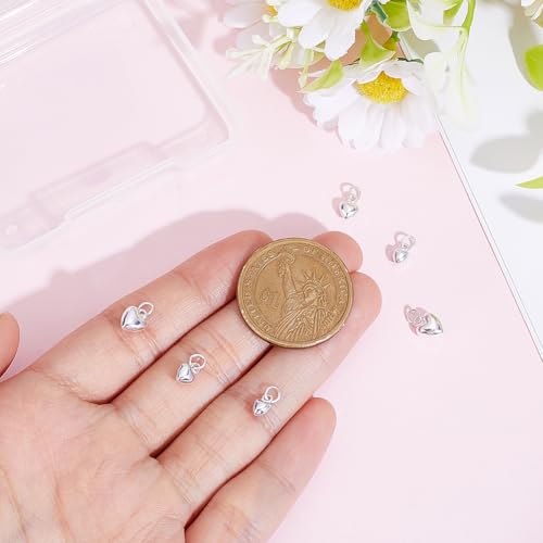 BENECREAT 925 Breloques Cœur Argent 6 Pièces 3D
