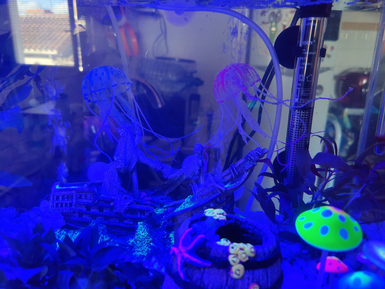 Cayway décor aquarium silicone lot 6 méduse