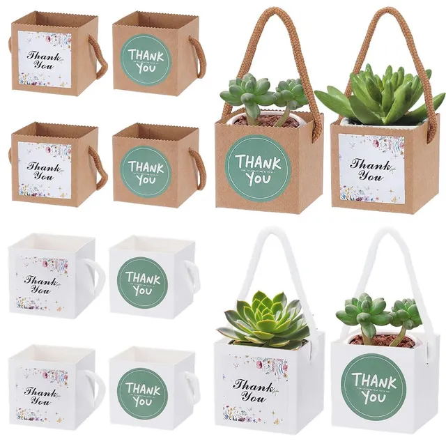 BENECREAT sachet cadeau succulente 65mm 2 couleurs lot 60