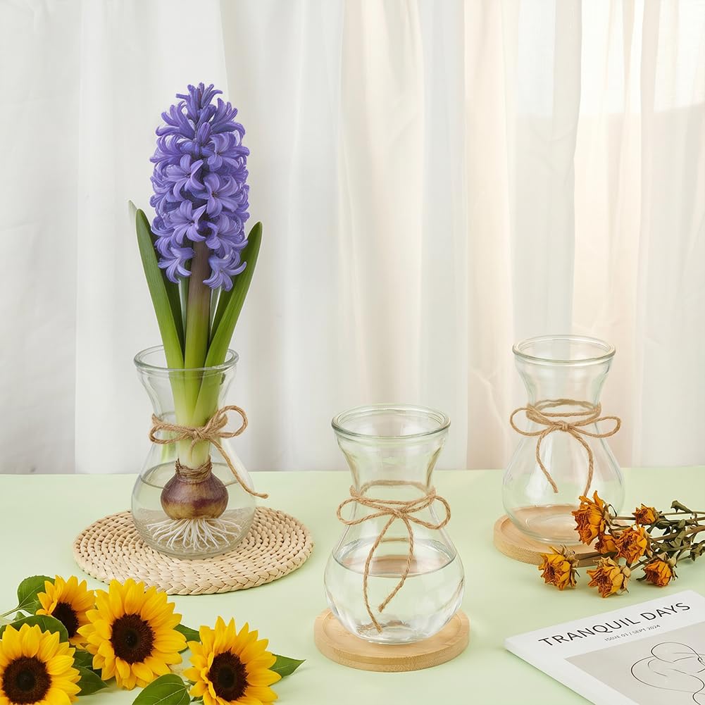 BENECREAT Vases Verre Jacinthe 85 mm Transparents x6
