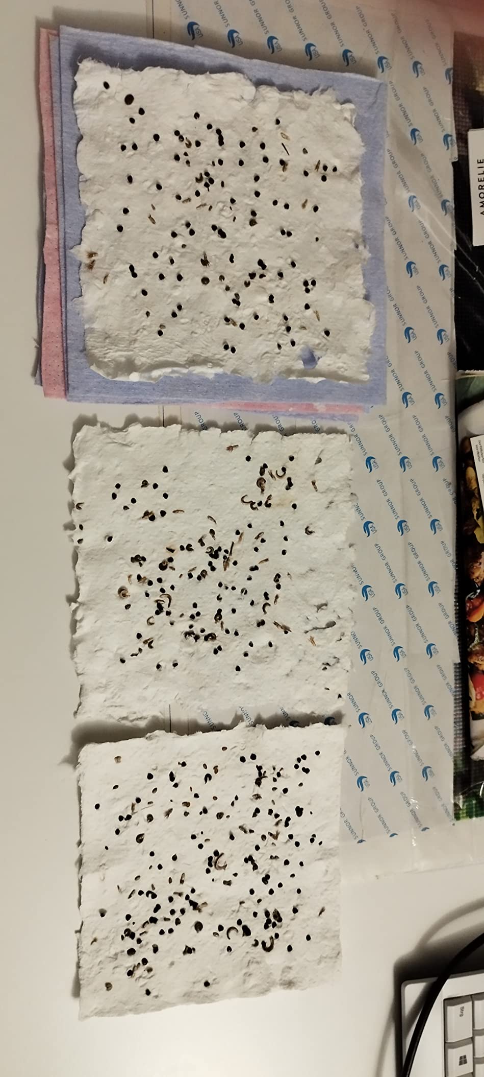 Cayway kit fabrication papier 9 pièces 3 cadres bois fleurs séchées