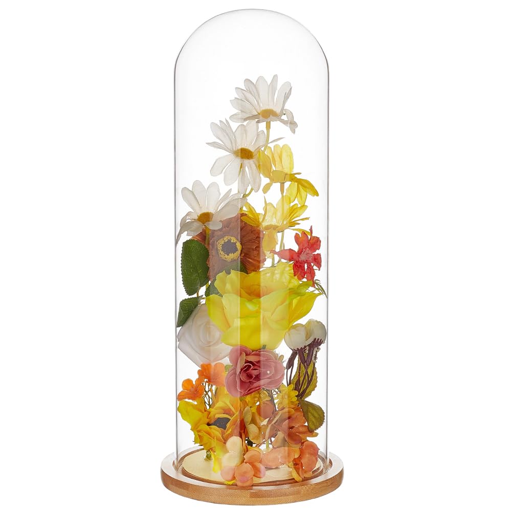 BENECREAT cloche verre arche base bois 36,6 cm