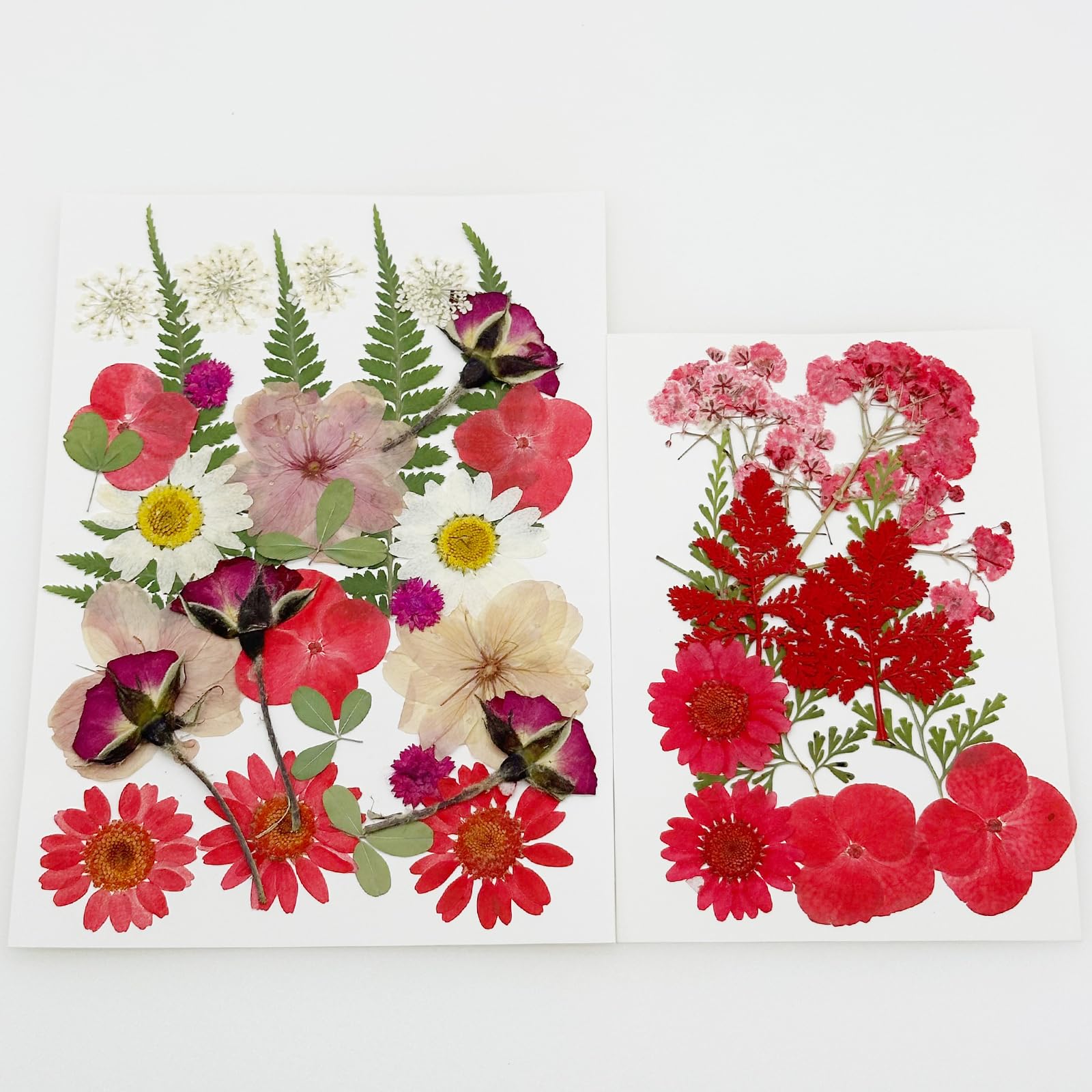 Cayway Fleurs Séchées Pressées Rouges 40 Pcs Résine