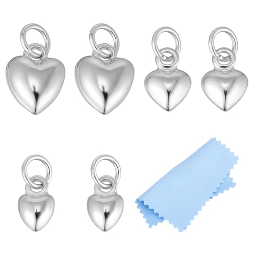 BENECREAT 925 Breloques Cœur Argent 6 Pièces 3D