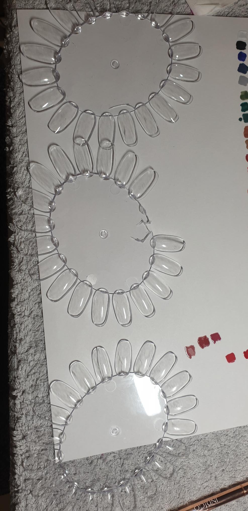 ROSENICE Nuancier Ongles Rond Transparent 20 Teintes 10 Pièces