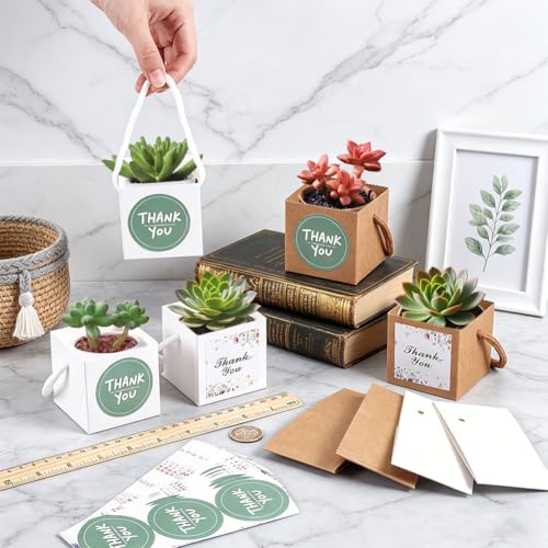 BENECREAT sachet cadeau succulente 65mm 2 couleurs lot 60