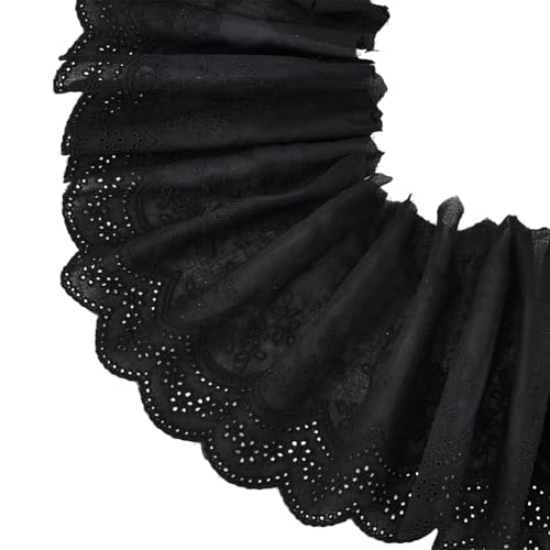 BENECREAT Dentelle Coton Bordure noire 4,6m x 20cm