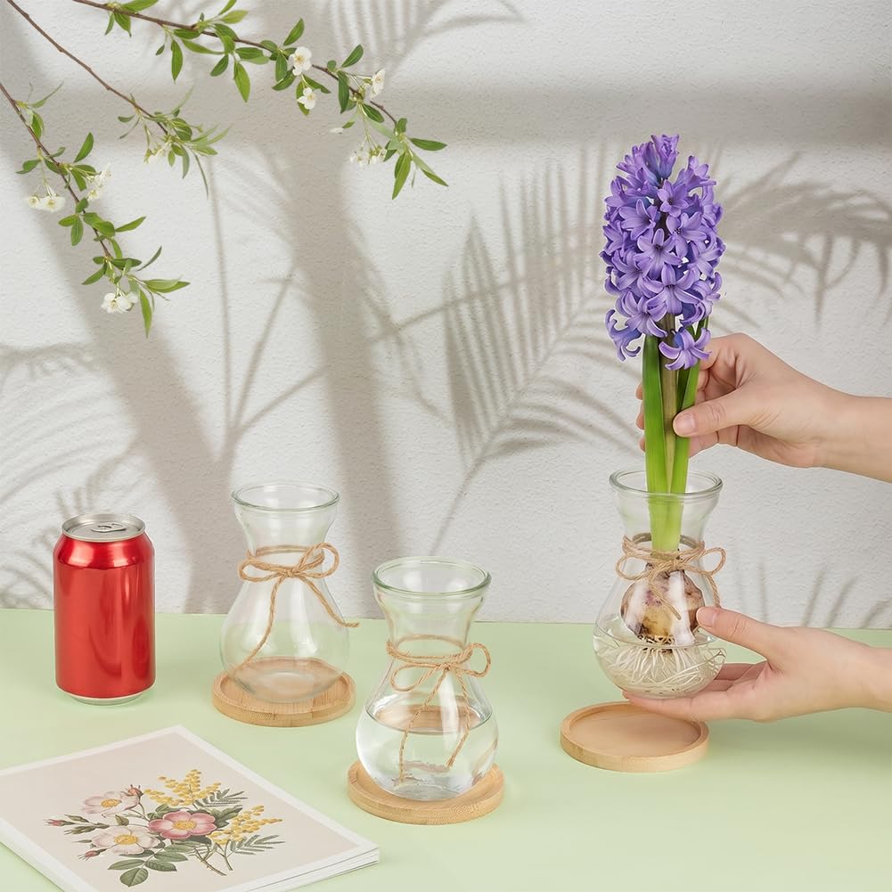 BENECREAT Vases Verre Jacinthe 85 mm Transparents x6