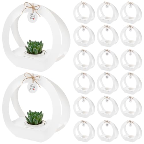 BENECREAT Boîtes Plantes Succulentes Blanc Lot 24