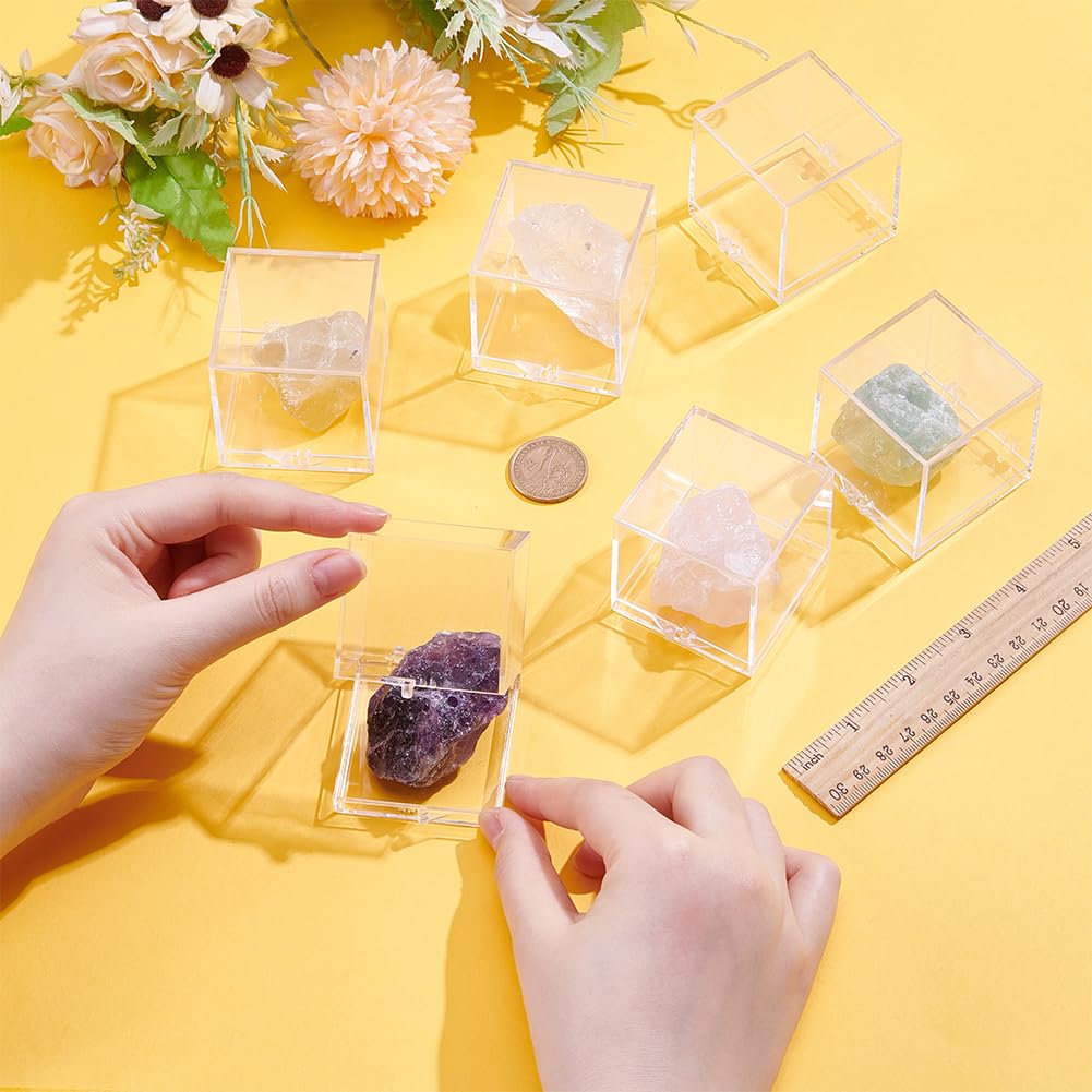 BENECREAT boîte spécimen plastique 51 mm 6 pcs transparente