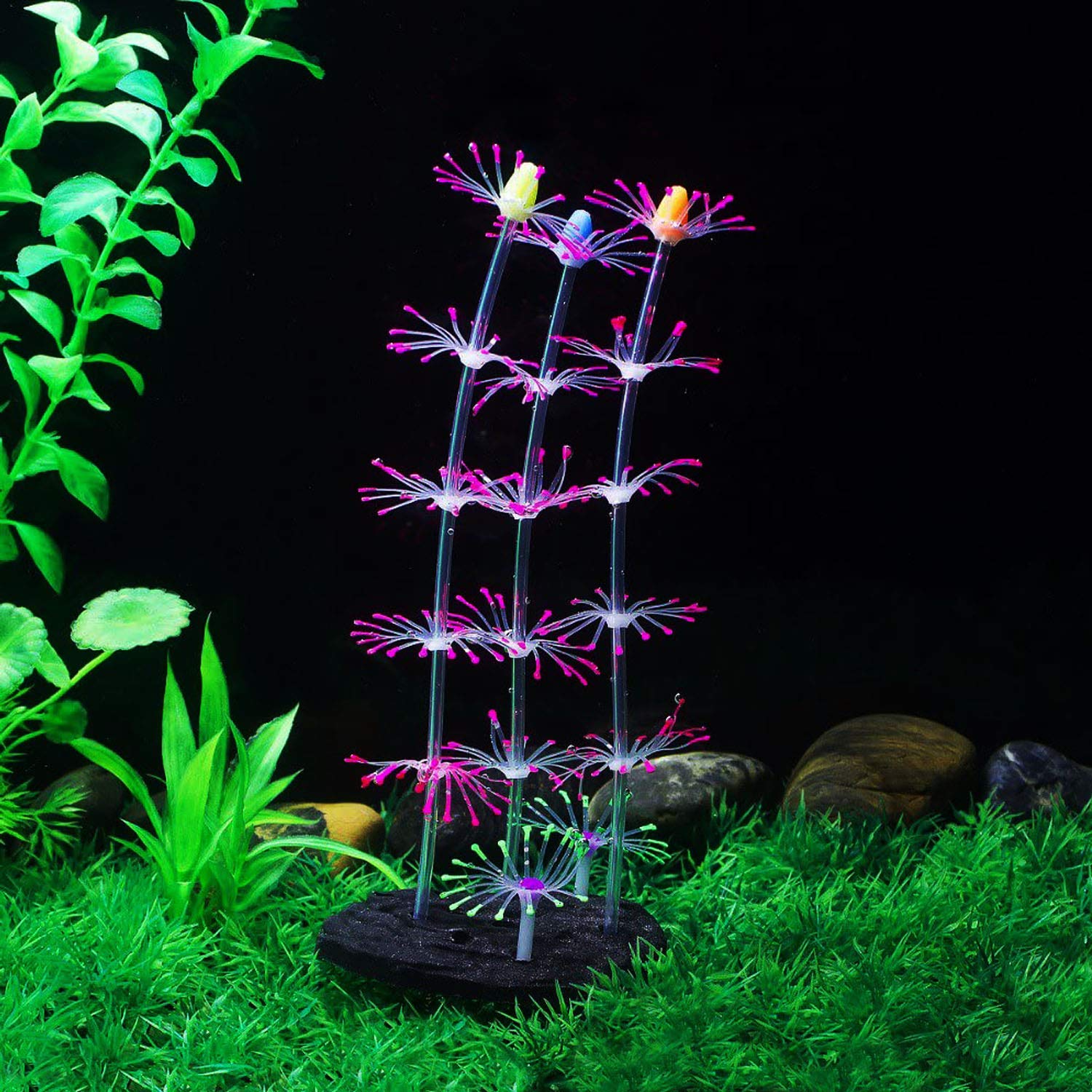 Cayway décor aquarium silicone lot 6 méduse