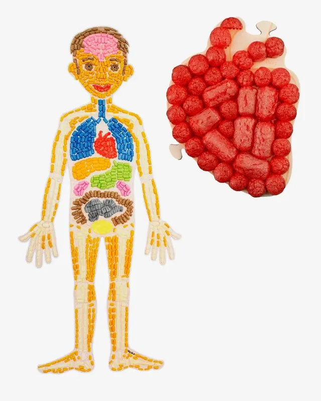 PLAYMAÏS Eduline Smart Kids Anatomy puzzle corps humain 34 fiches