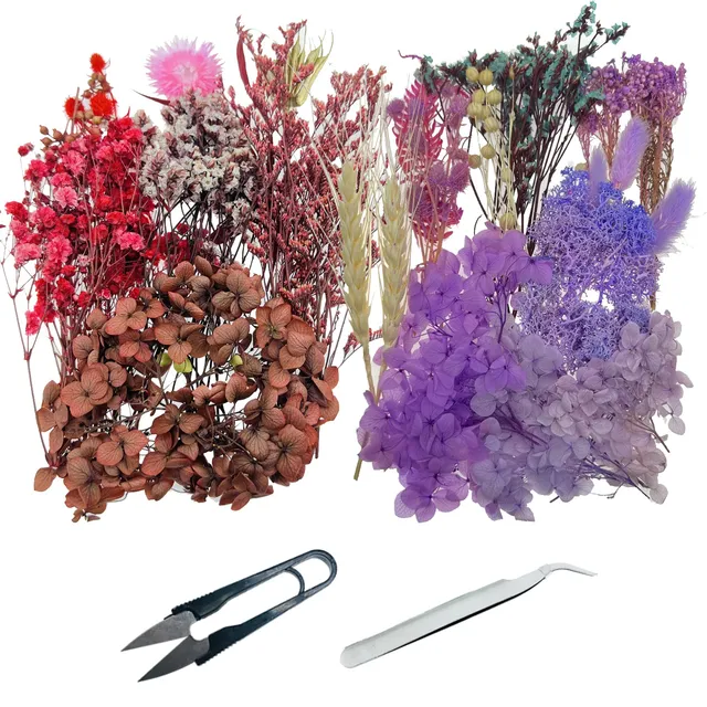 Cayway fleurs séchées résine 2 boîtes violettes