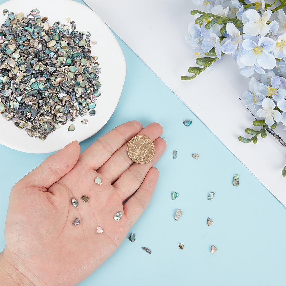 BENECREAT Éclats de Nacre d'Ormeau 100g Incrustation Irisée