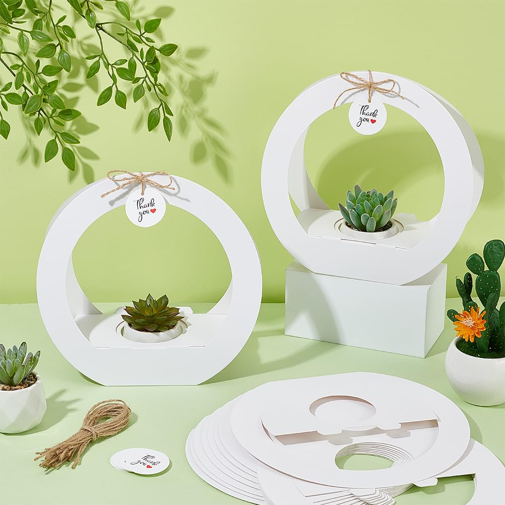 BENECREAT Boîtes Plantes Succulentes Blanc Lot 24