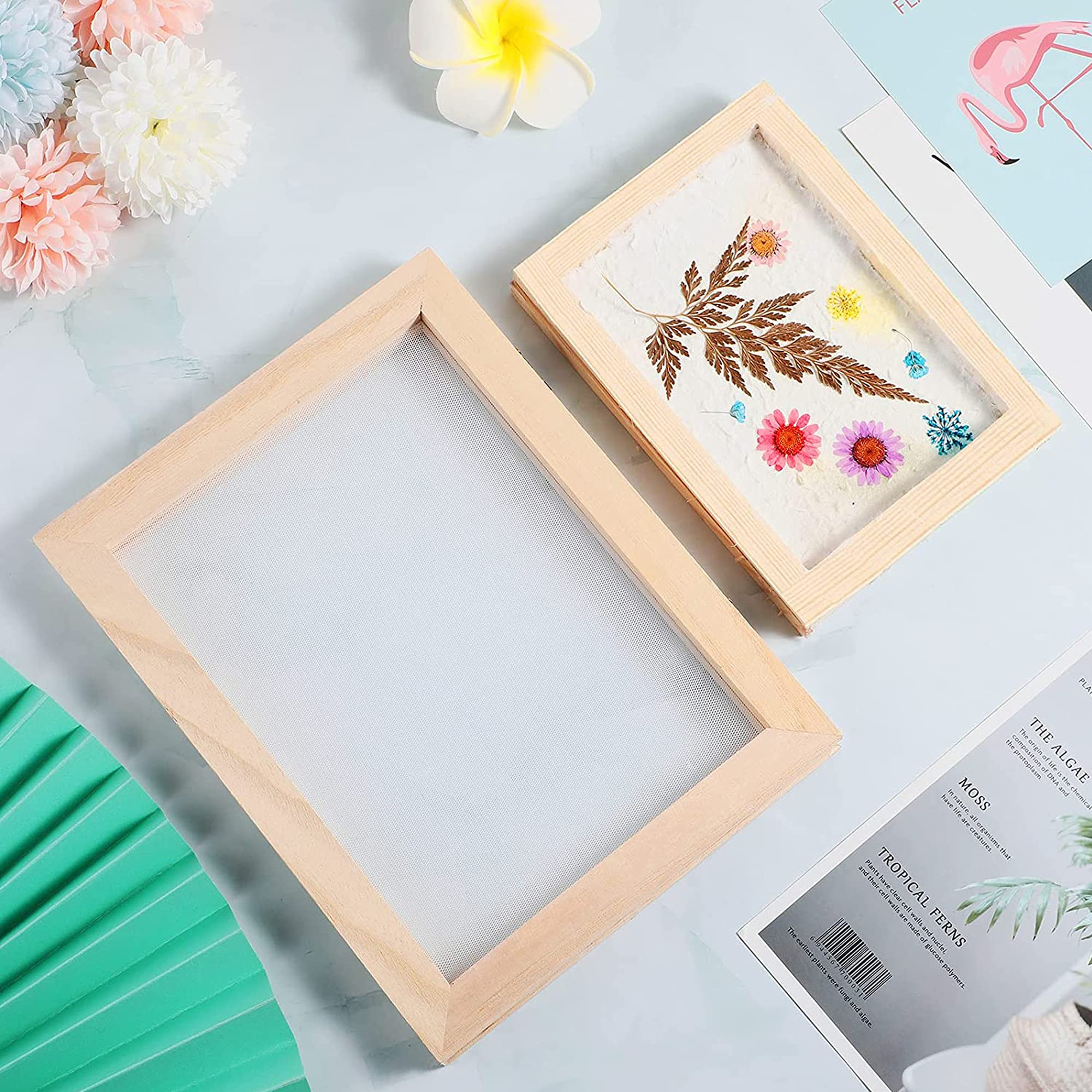 Cayway Kit Fabrication Papier 11 pcs 5 cadres fleurs séchées