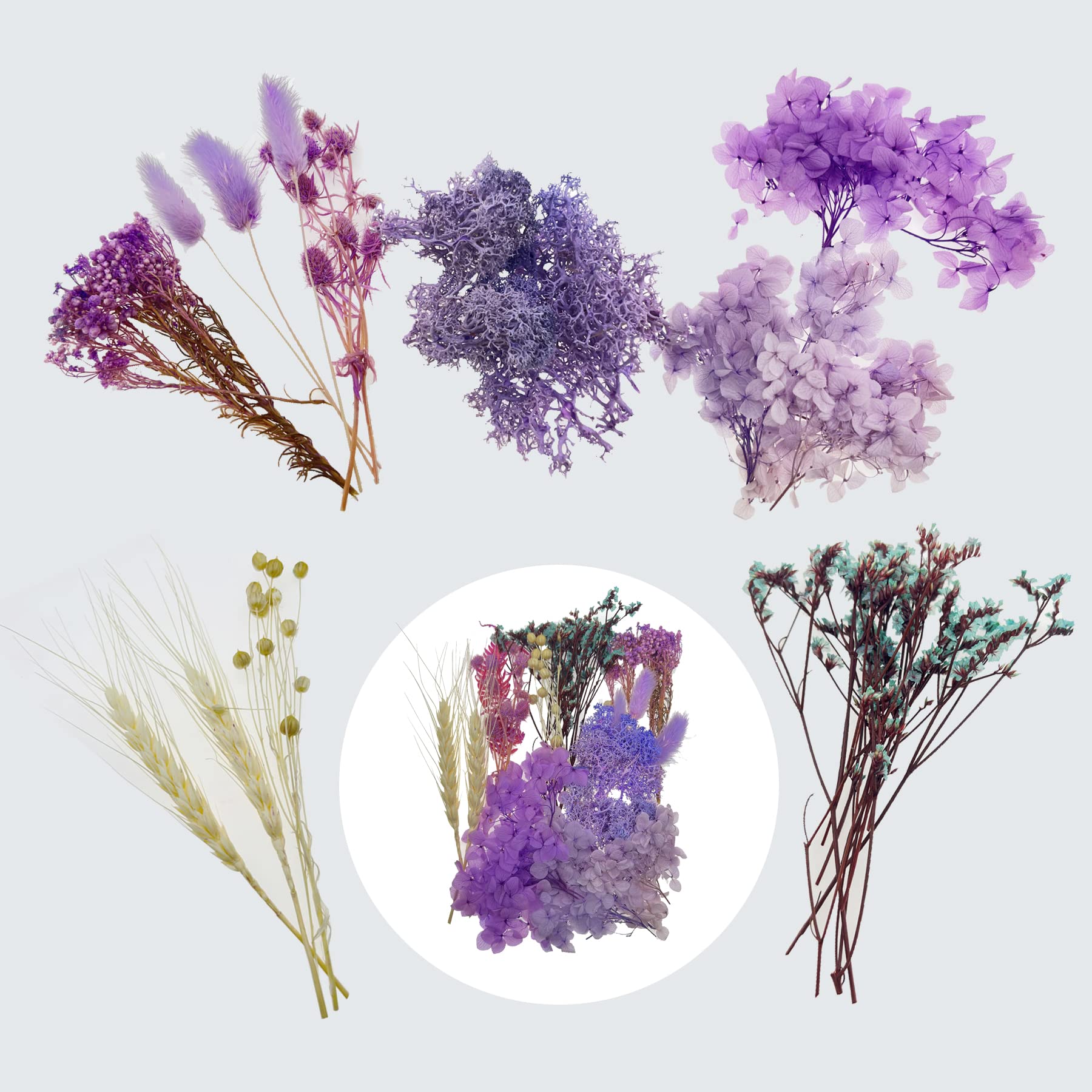Cayway fleurs séchées résine 2 boîtes violettes