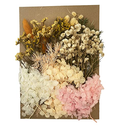 Cayway Fleurs Séchées Pressées Naturelles Mélange Bougie Déco